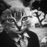 Neko Hero Profile Picture