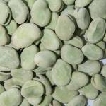 broccolb broccolb Profile Picture