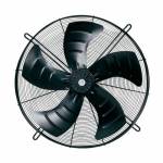 Beierde pipefanght Profile Picture
