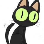 黒 猫 Profile Picture