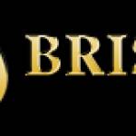 Brishine United Industry Profile Picture